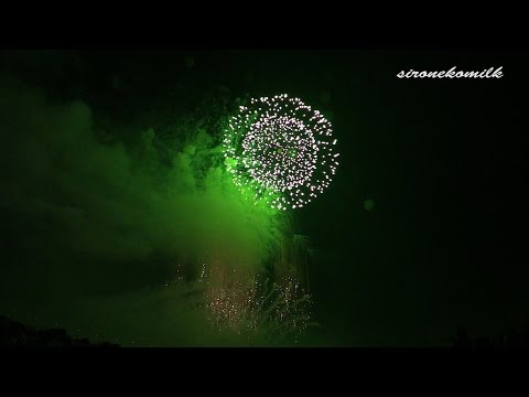 デザイン花火競技会/Japan Design Hanabi Contest アルプス煙火工業 Alpus | Akagawa Fireworks Festival 2014 赤川花火大会