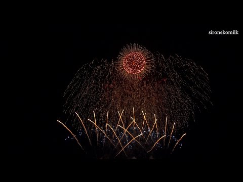 辰ノ口さくら祭り花火大会 4K Ibaraki Japan Tatsunokuchi Cherry Blossoms Fireworks Festival 2016 野村花火工業
