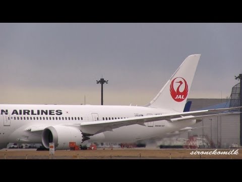 成田国際空港 B787の離陸 JAL Boeing 787-8 Take off from Tokyo Narita International Airport 日本航空 ボーイング787