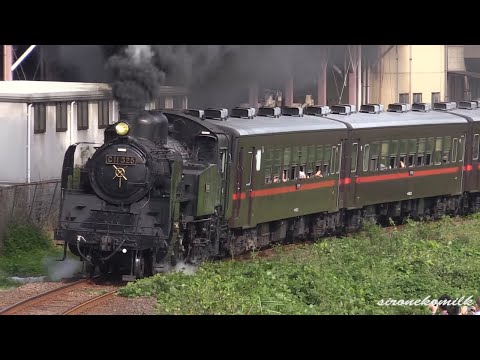 蒸気機関車C11 Japanese Steam Locomotive C11-325 Running SLもおか(Mooka) 真岡鐵道 道の駅もてぎ