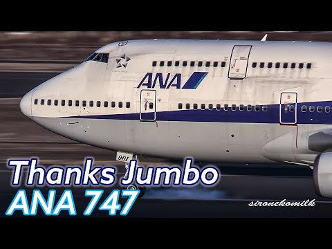 全日空 ボーイング747離着陸動画 ANA Boeing 747-400(D) Memorial Last Flight in Japan 小松・伊丹・仙台・福島・成田 Plane spotting