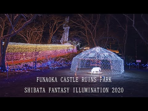船岡城址公園 イルミネーション 5K Japan Night View &amp; Christmas Lights, Funaoka Castle Park, Miyagi 宮城の夜景