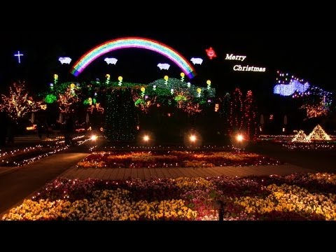 美しい関東三大イルミネーション Ashikaga Flower Park Christmas Lights 2012 あしかがフラワーパーク 光の花の庭 Japan Travel 栃木旅行