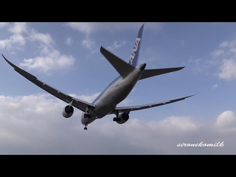 大阪伊丹空港 千里川 Plane Spotting at Osaka Int&#039;l Airport(Itami) from Senrigawa 飛行機着陸　Airliner Landing