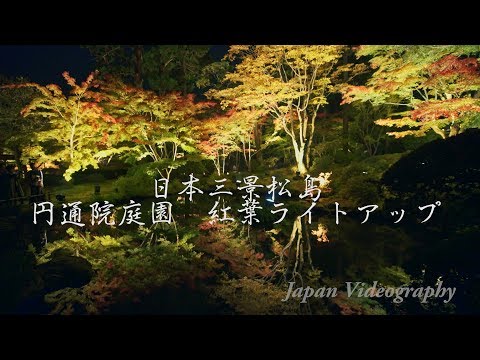 円通院庭園 紅葉ライトアップ Matsushima Japan 4K Entsuin Garden Autumn Foliage Lit up | 日本庭園の美しい風景 日本三景松島