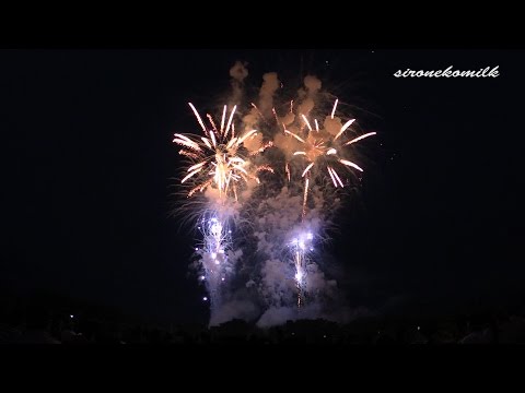 デザイン花火競技会/Japan Design Hanabi Contest 安藤煙火店/Ando enka | Akagawa Fireworks Festival 2014 赤川花火大会