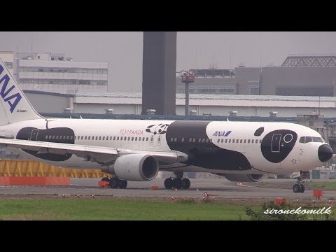 FLY!パンダ ANA Boeing 767-300/ER Panda Take off from Tokyo Narita International Airport 成田国際空港 旅客機離陸