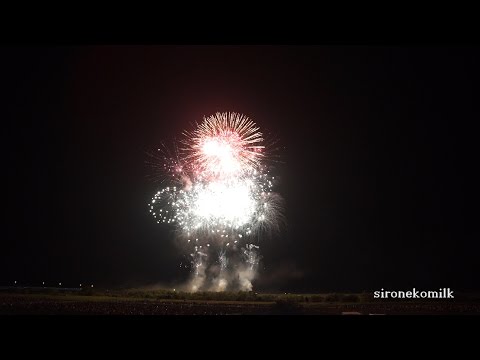 全国デザイン花火競技会 Japan Design Hanabi Contest 大久保煙火製造所 Okubo | Akagawa Fireworks Festival 2015 赤川花火大会