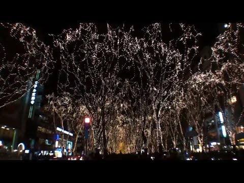 来年からLED化する電球色イルミネーション SENDAI光のページェント 2009 | Christmas Light - Sendai Pageant of Starlight