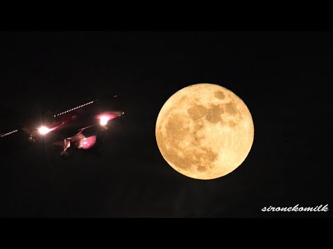 仙台空港夕景とスーパームーン Night Plane Spotting at Japan Sendai Airport with Super Moon 飛行機離着陸 航空動画