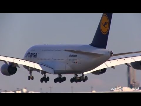 Huge Airliner - Lufthansa Airbus A380-800 Landing to Tokyo Narita Int&#039;l Airport 成田国際空港 超巨大旅客機着陸