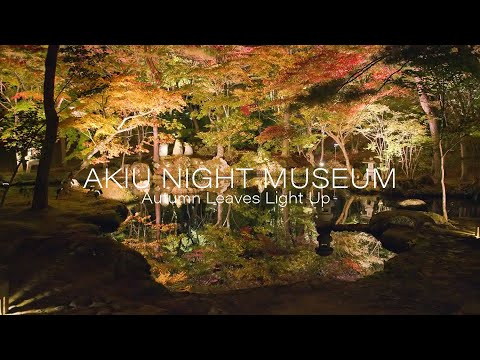 秋保ナイトミュージアム Japan 4K Akiu Night Museum | Autumn Leaves Light Up 幻想的な紅葉ライトアップ 天守閣自然公園の夜景