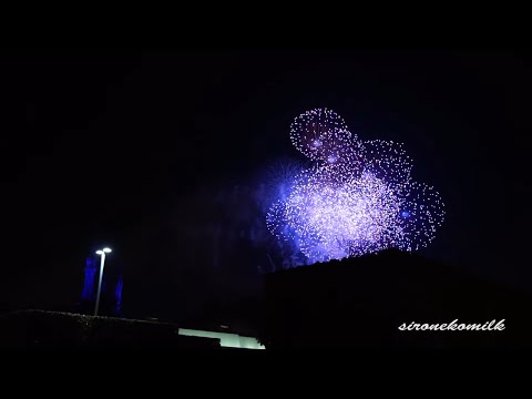 東京ディズニーランド Japan Tokyo Disney Land New Year&#039;s Eve Fireworks Show 2014 ニューイヤーズ・イヴ カウントダウン花火