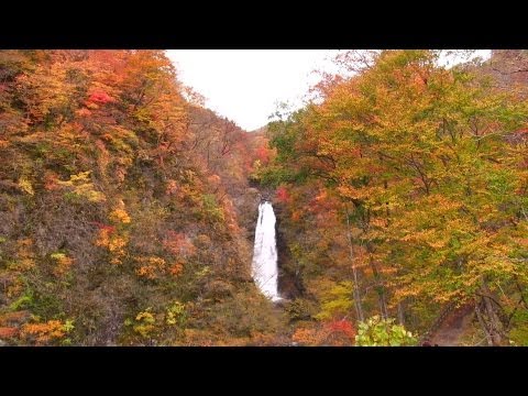 秋保大滝の紅葉 Autumn Colors of Sendai Akiu Waterfall in Miyagi Japan 日本三大名瀑 宮城観光 仙台の自然風景 Nature&amp;Travel