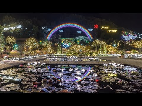 日本三大イルミネーション 2017 あしかがフラワーパーク Japan 4K Christmas Lights in Ashikaga Flower Park 光の花の庭