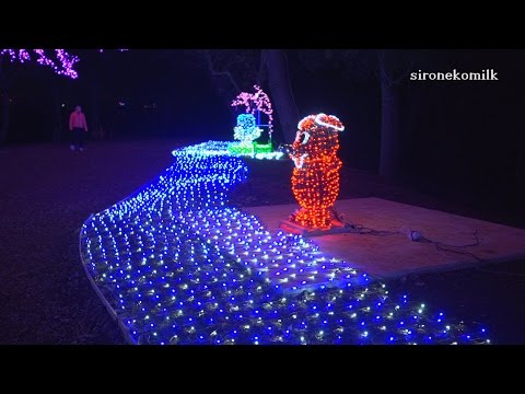 イルミネーション 成田空港さくらの山公園 Japan Narita Christmas Lights | Sakura no Yama Park, Tokyo Narita Airport