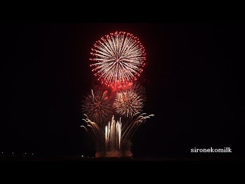 全国デザイン花火競技会 Japan Design Hanabi Contest 菅野煙火店 Kanno | Akagawa Fireworks Festival 2015 赤川花火大会