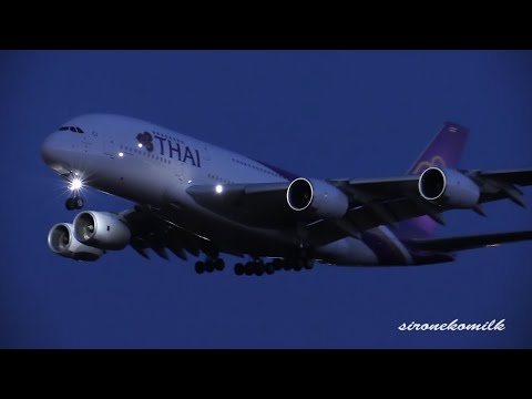 タイ国際航空 エアバスA380 Thai Airways Airbus A380-800 Landing to Tokyo Narita Int&#039;l Airport 成田空港 飛行機着陸 航空映像