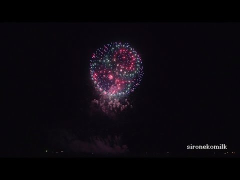 全国デザイン花火競技会 Japan Design Hanabi Contest ㈱マルゴー Marugo | Akagawa Fireworks Festival 2015 赤川花火大会