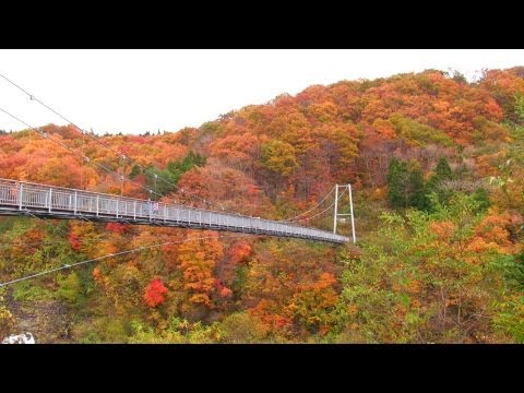 やまびこ吊り橋の紅葉 Autumn Colors of Shichikasyuku Yamabiko Suspension Bridge in Miyagi Japan 七ヶ宿観光 秋の風景