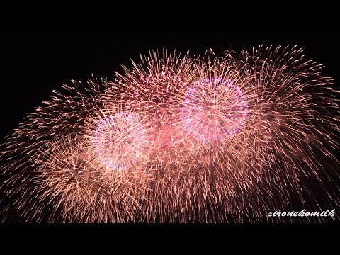 長野えびす講花火大会 Saturday Night Fever | Japan Nagano Ebisukou Fireworks Festival 2013 サタデーナイトフィーバー