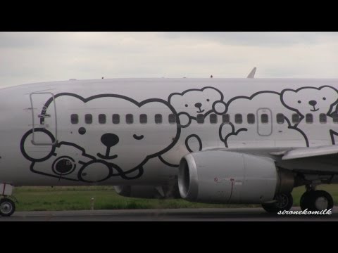 旅客機 特別塗装ベア・ドゥ AIR DO Boeing 737-500 special paint Bear Do take off from Sendai Airport 仙台空港