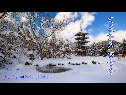 定義山の雪景色 5K Sendai Japan Winter Travel to Jogi Nyorai Saihoji Temple 冬の仙台観光 定義如来 西方寺