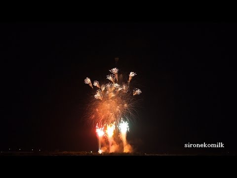 全国デザイン花火競技会 Japan Design Hanabi Contest 若松煙火製造所 Wakamatsu enka | Akagawa Fireworks Festival 2015