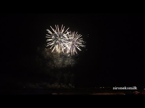 全国デザイン花火競技会 Japan Design Hanabi Contest 安藤煙火店 Andoh enka | Akagawa Fireworks Festival 2015