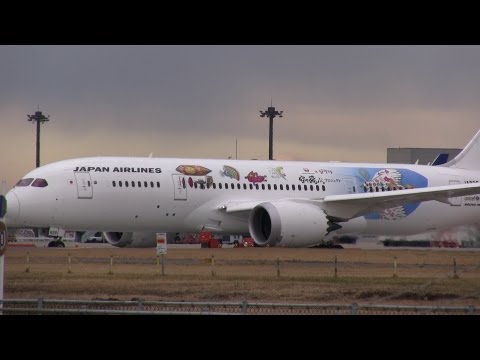 日本航空ジブリ塗装飛行機 JAL x Ghibli Boeing 787-8 Take off from Tokyo Narita Int&#039;l Airport　成田国際空港 旅客機離陸