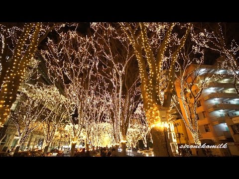 仙台光のページェント Tohoku Japan Christmas Lights イルミネーション | Sendai Pageant of Starlight 2014