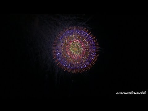 ツインリンクもてぎ 花火の祭典・秋 Artistic 12 inch shell | Japan Twin Ring Motegi Fireworks Festival 2013