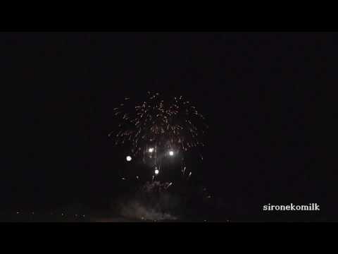 全国デザイン花火競技会 Japan Design Hanabi Contest ㈲篠原煙火店 Shinohara | Akagawa Fireworks Festival 2015 赤川花火大会