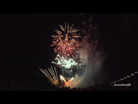 4K 全国デザイン花火競技会 Japan Design Hanabi Contest ㈱北日本花火興業 | Akagawa Fireworks Festival 2016 赤川花火大会