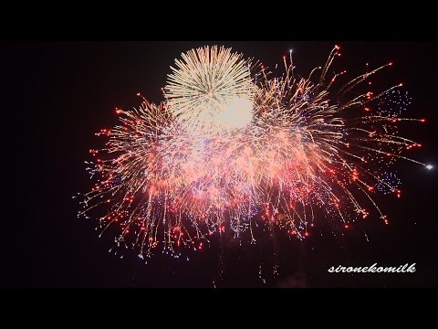 長野えびす講煙火大会 Dancing Queen Display | Japan Nagano Ebisuko Fireworks Festival 2014 ダンシングクイーン