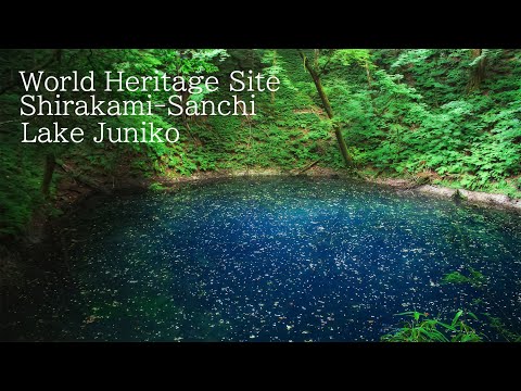 白神山地青池 Japan 6K | World natural heritage Shirakami blue pond in Tohoku 世界遺産 青森十二湖の風景 東北観光