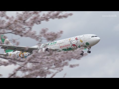 成田国際空港 桜と飛行機離着陸 4K Cherry Blossoms &amp; Plane Spotting | Tokyo narita Int&#039;l Airport さくらの山公園 Japan