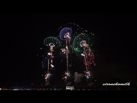 長野えびす講煙火大会 Video of Japan Nagano Ebisuko Fireworks Festival 2014 (No. 2/2)