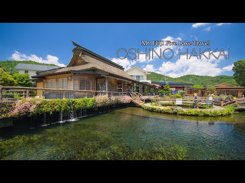 忍野八海の風景 6K Japan World heritage 富士山観光 mt.fuji Five Lakes Oshino Hakkai Village 山梨旅行 世界文化遺産