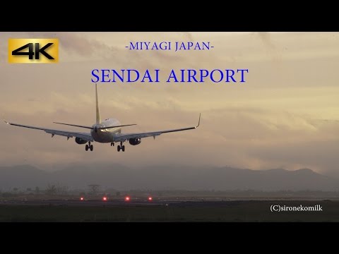 仙台空港 飛行機離着陸 Day &amp; Night Plane Spotting at Japan Sendai Airport 美しい夕景と滑走路夜景