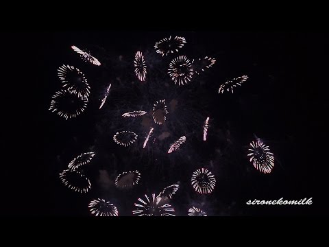 長野えびす講煙火大会 Video of Japan Nagano Ebisuko Fireworks Festival 2014 (No. 1/2)