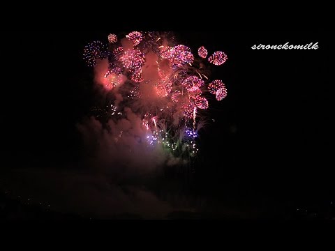 デザイン花火競技会/Japan Design Hanabi Contest 菅野煙火店 Kanno enka | Akagawa Fireworks Festival 2014 赤川花火大会