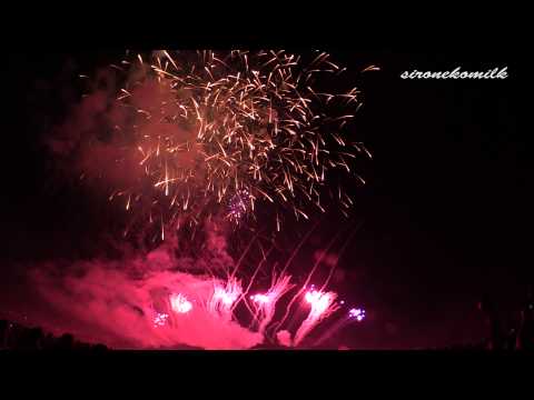 デザイン花火競技会/Japan Design Hanabi Contest マルゴー Marugo | Akagawa Fireworks Festival 2014 赤川花火大会