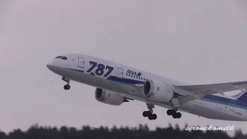 ANA BOEING 787-8 DREAMLINER Landing & Take off at Akita Airport in Winter