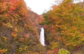 Beautiful Autum Leaves at Akiu Waterfall | Sendai, Miyagi Japan
