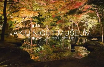 Akiu Night Museum 2022 Autumn leaves Light up | Sendai, Miyagi Japan