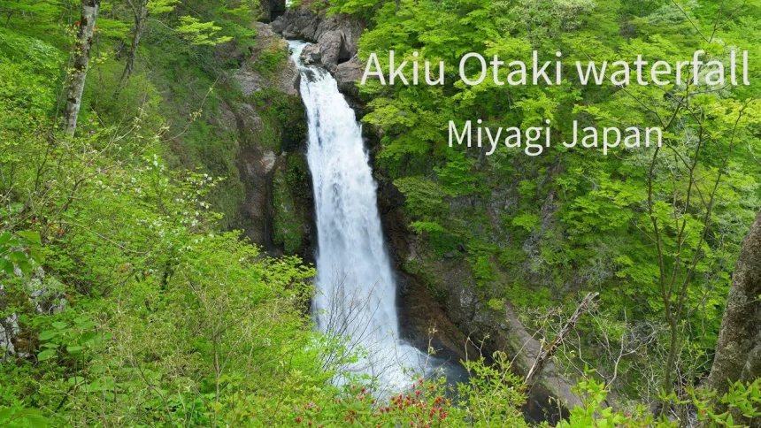 The scenery of Akiu Otaki and the sound of the waterfall with beautiful fresh greenery | Sendai, Miyagi Japan