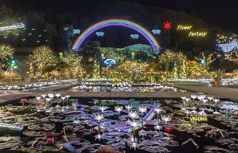 4 million Christmas Lights in Ashikaga Flower Park 2017 | Ashikaga, Tochigi Japan