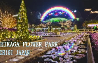 Christmas Lights in Ashikaga Flower Park 2020 | Ashikaga, Tochigi Japan