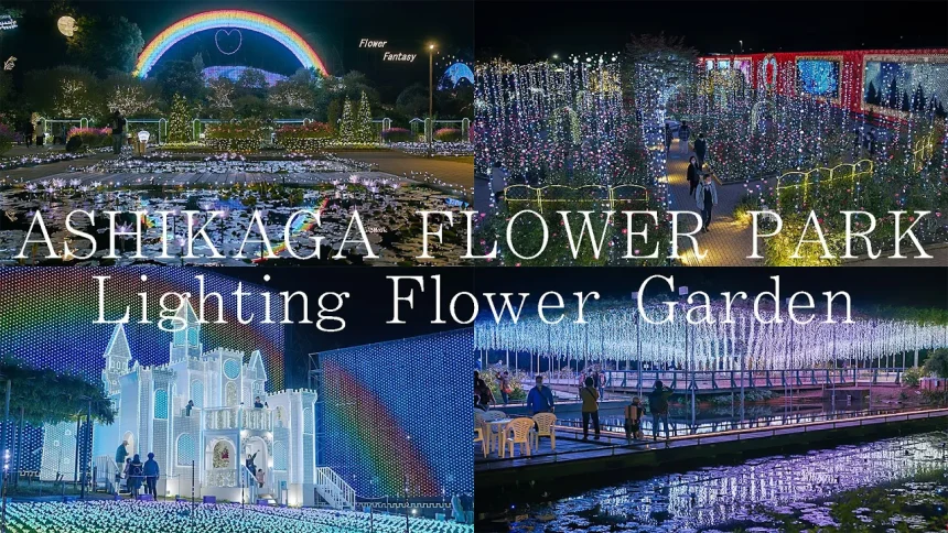 Ashikaga Flower Park Christmas Lights | Flower Fantasy 2022-2023 | Tochigi Japan